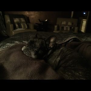 Meet your Posher, Audrey